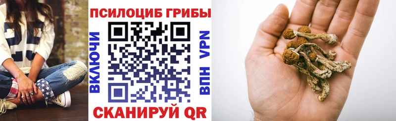 Галлюциногенные грибы GOLDEN TEACHER  даркнет сайт  дарк нет клад  Тара 