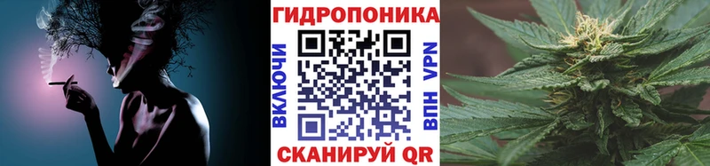 Канабис ГИДРОПОН  Тара 